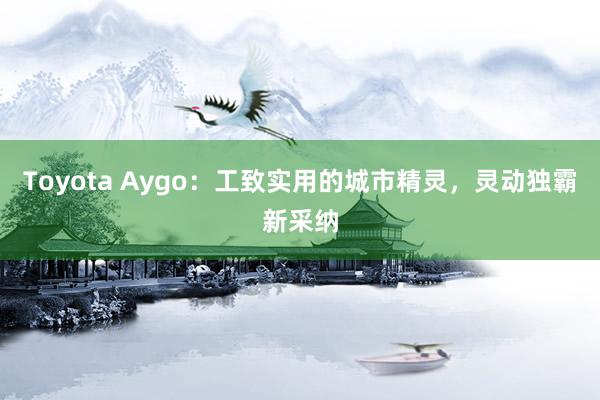 Toyota Aygo：工致实用的城市精灵，灵动独霸新采纳